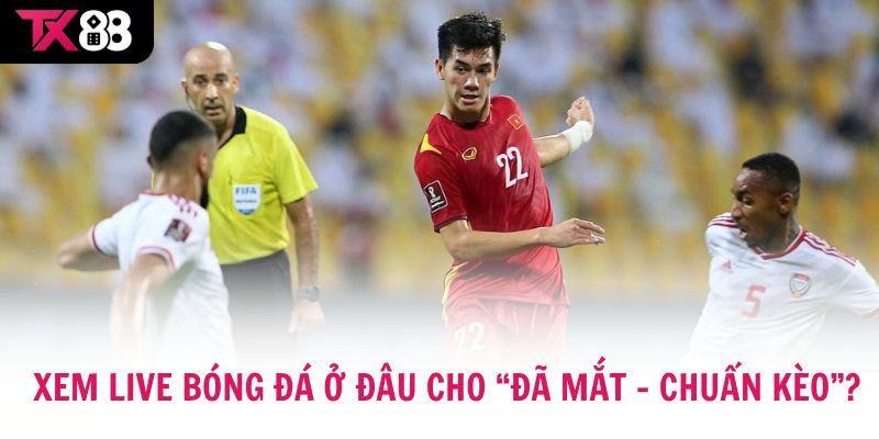 Xem Live Bóng Đá ở đâu cho “đã mắt – chuẩn kèo”?